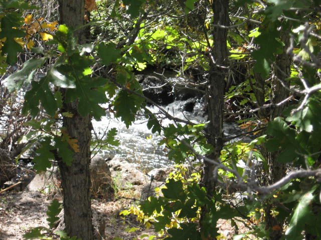 Creek Creek