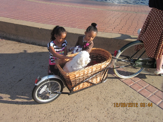 Kids and dog