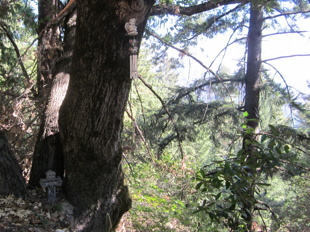 Roadside Memorial