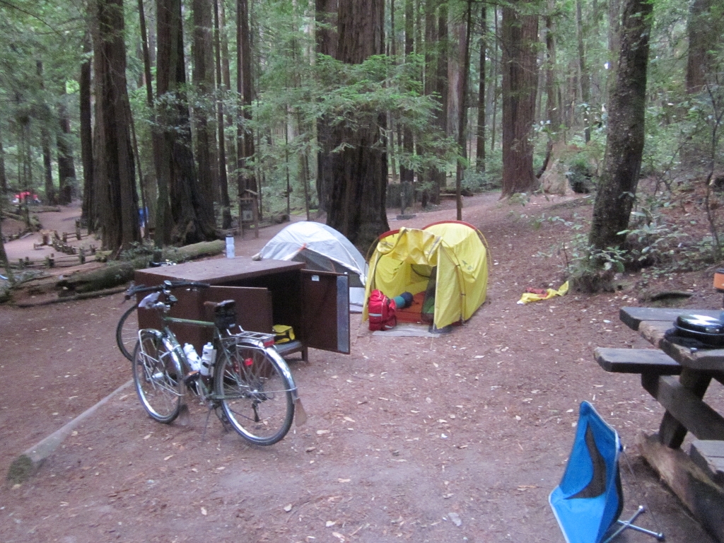 Butano State Park campground
