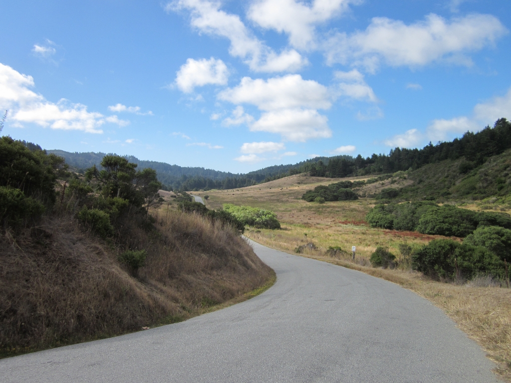 Leaving Butano State Park