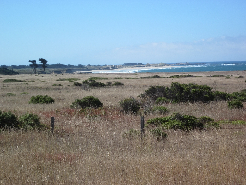 Pacific Coast along California 1