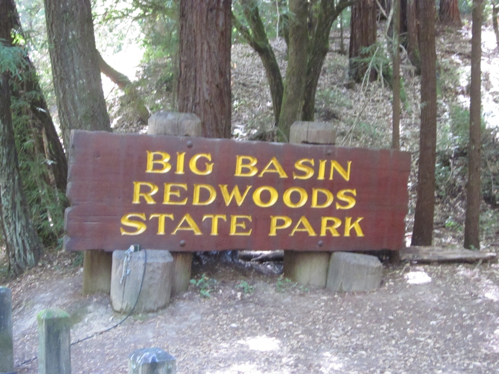 Big Basin Redwoods State Park