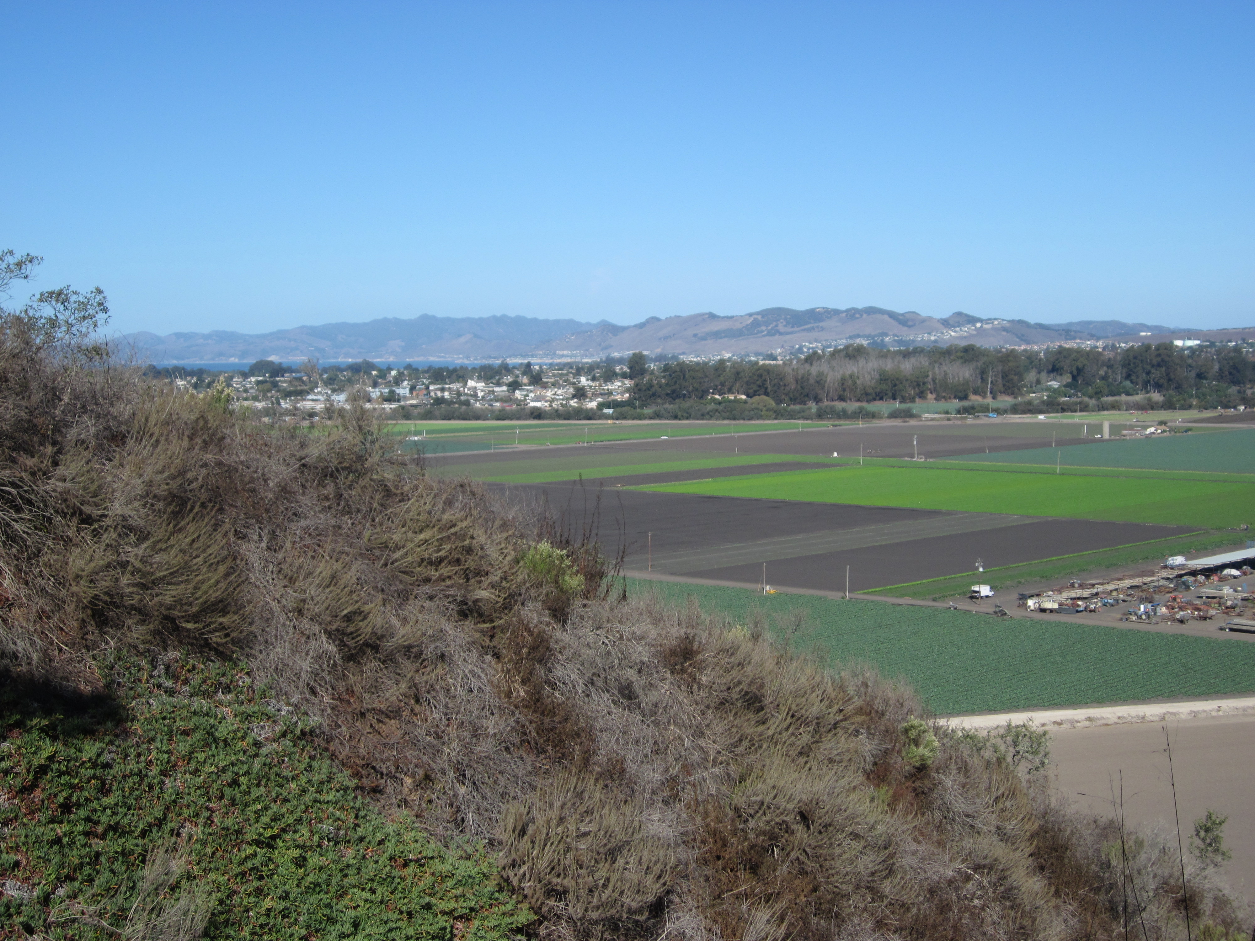 Scenic View on Highway 1